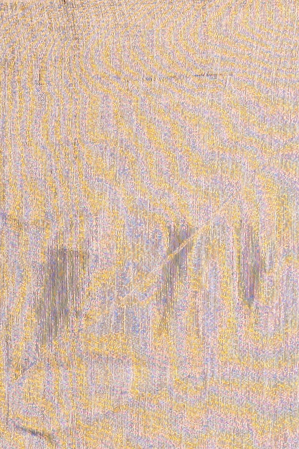 Midnight Bloom Linen Tissue Saree