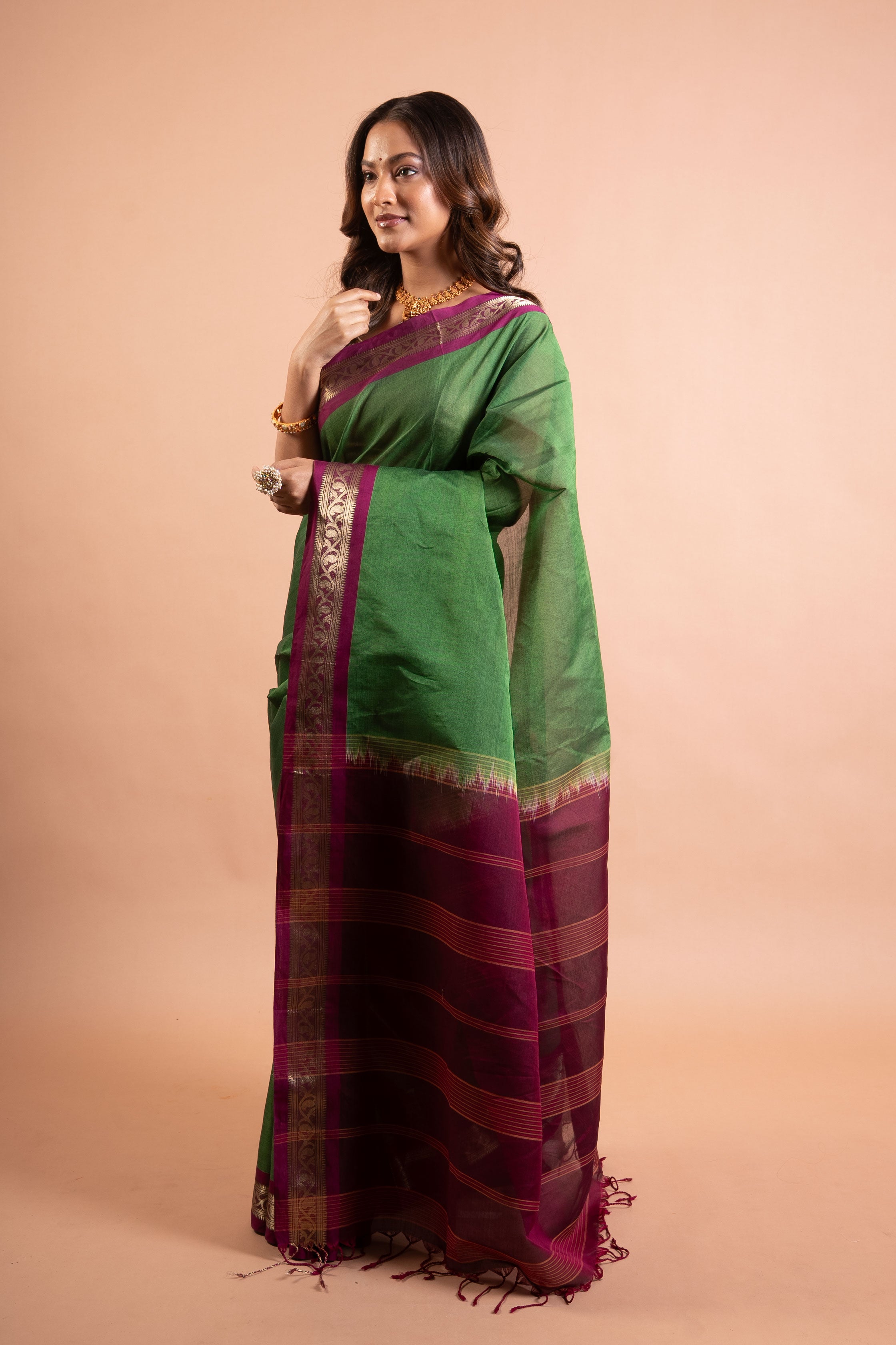 Vanya Vatika Handloom Cotton Saree